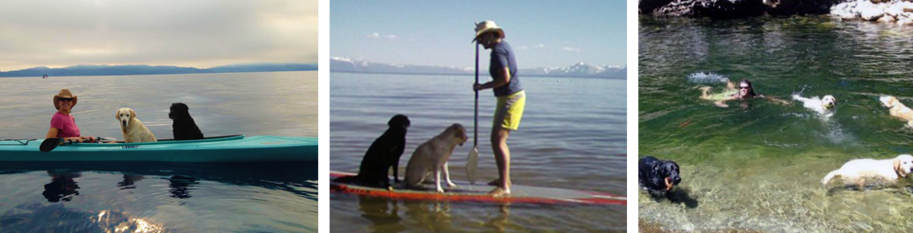 Owner and her two dogs on Tahoe